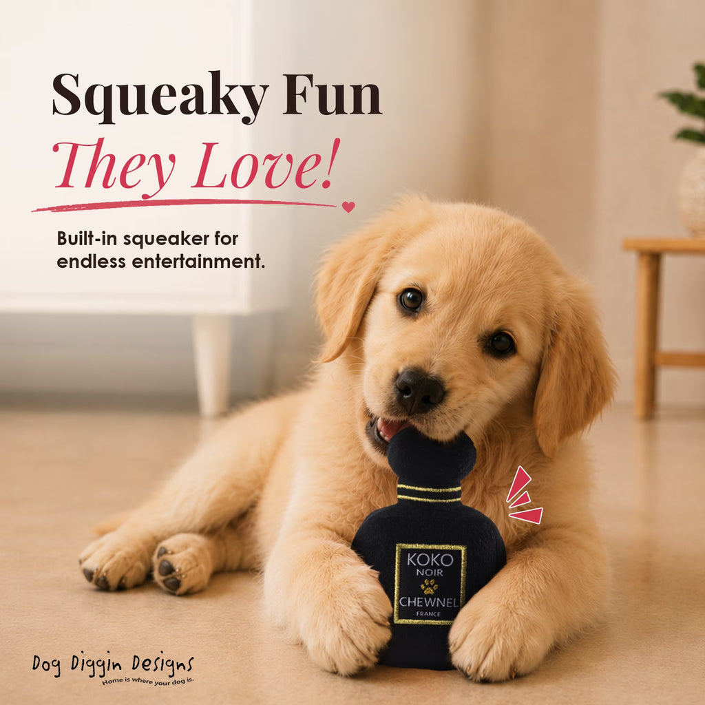 Runway Pup Collection | Unique