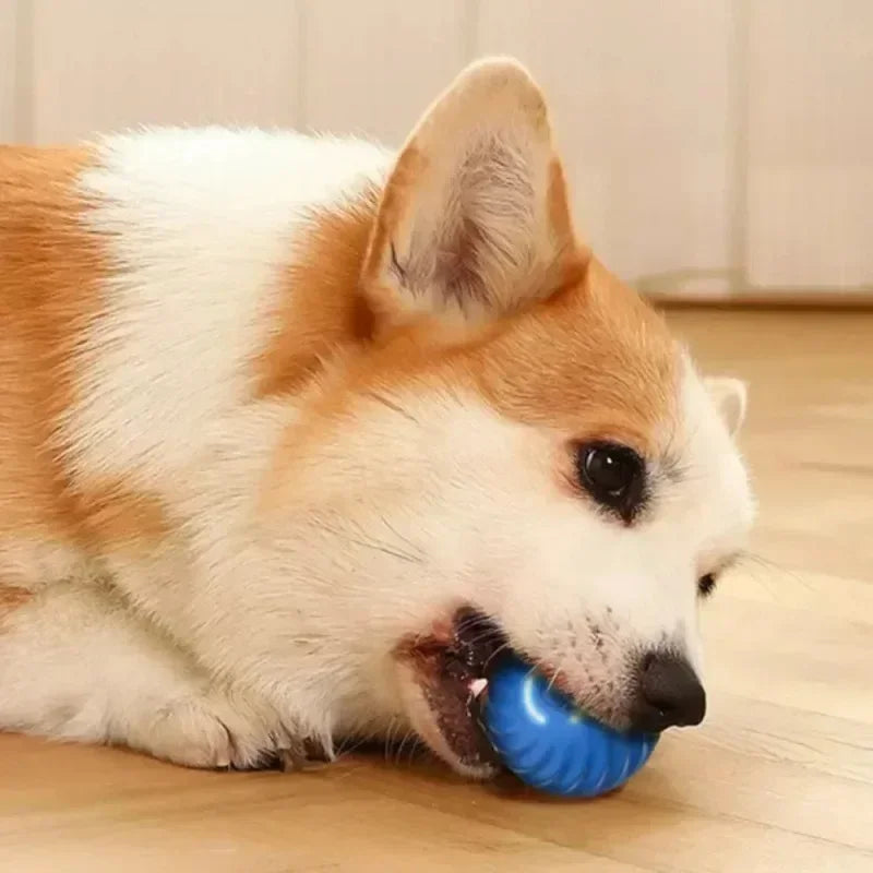 Smart Interactive Dog Ball Toys, Bouncing Rolling Gravity Ball for Pet Training, Plush Chew Toys for Puppy Small Large Dogs,