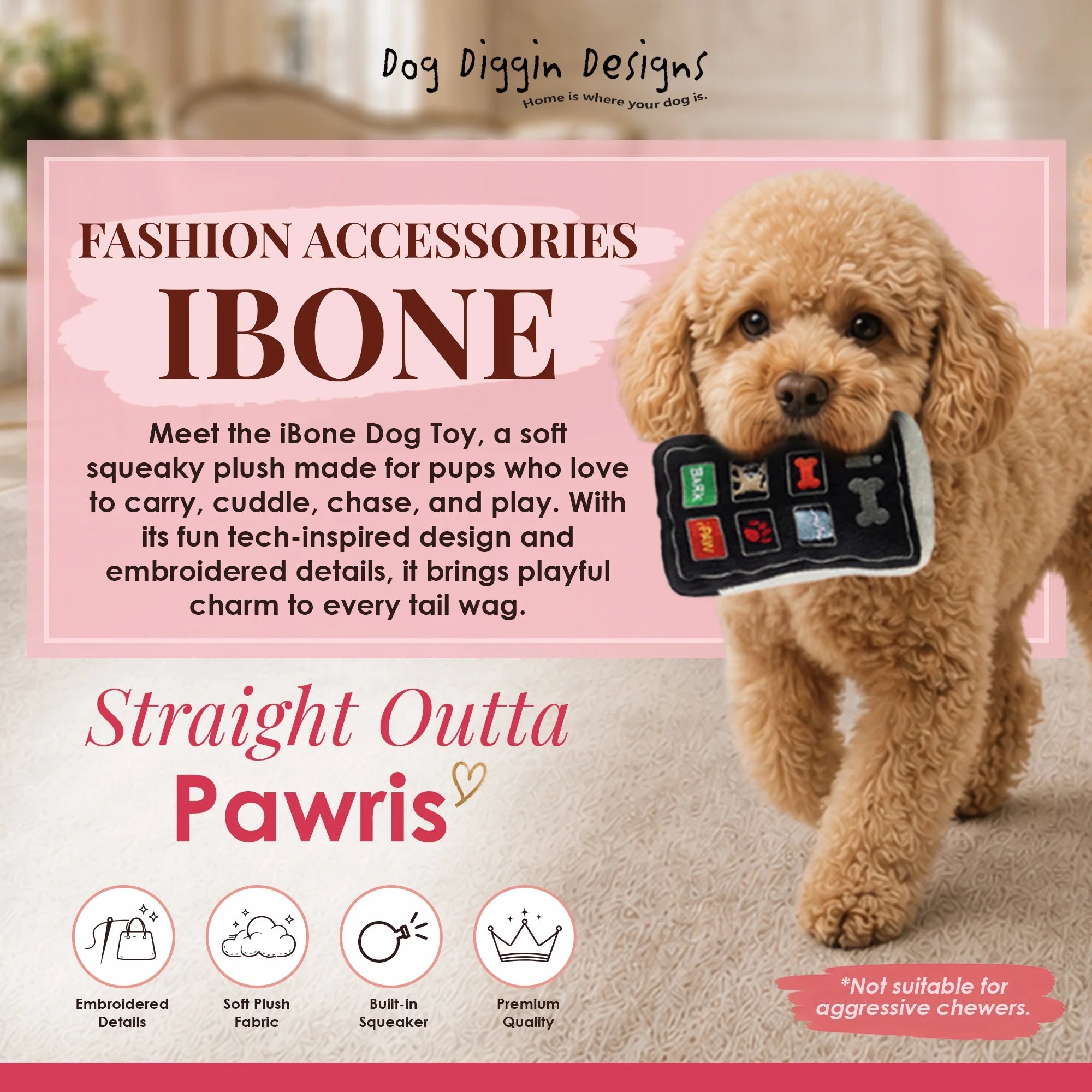 Runway Pup Collection | Unique