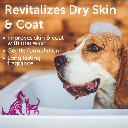 Japanese Cherry Blossom Shampoo for Dogs & Cats, Natural Ingredients | Gallon, for Professional & Multi-Dog Use, Cleans & Conditions, with Rosemary Extract, Revitalizes Dry Skin & Coat