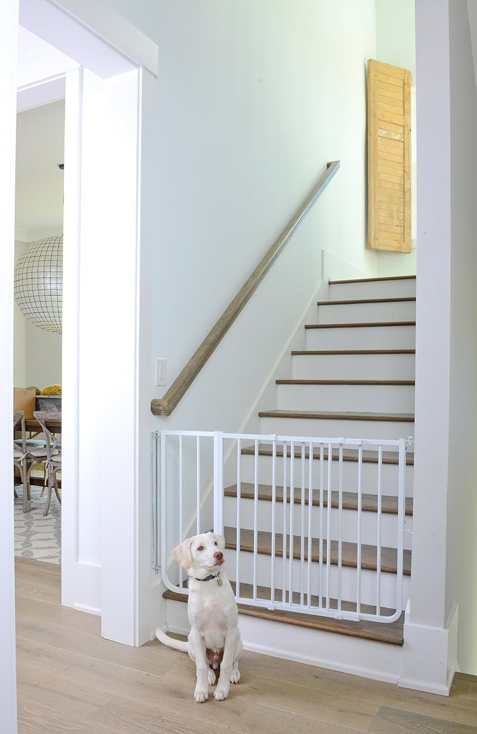 BX1 10.5 in Baby Gate Extension, White | Adds 10.5 in of Width to SS30 Stairway Special, SS30OD Outdoor, and MG15 Auto-Lock Baby and Pet Gates. Match Gate Color.