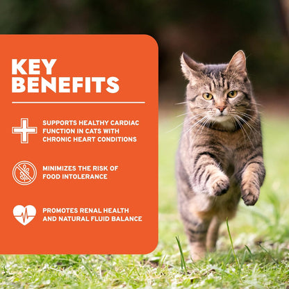 Renal Wet Cat Food for Adult Cats - 3.5 Oz, 32 Pack - Lamb Flavor | Actiwet Renal Support - Vet-Formulated, Non-Gmo - Kidney Care for Adult Cats - Made in Italy