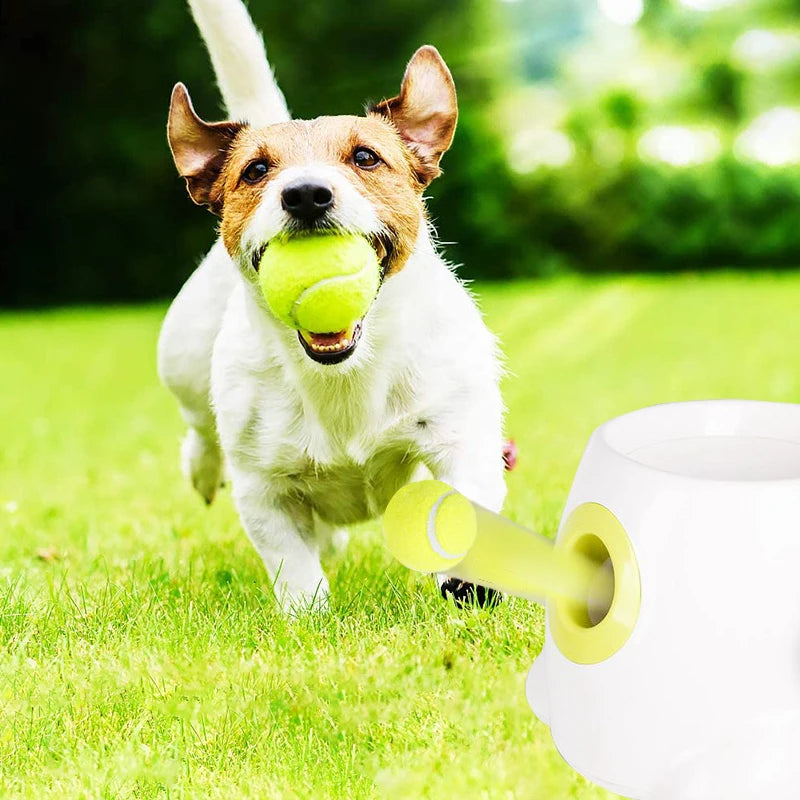 5Cm Dog Pet Tennis Interactive Toy Chew Ball Throwing High Bouncy Ball Kids Ball for Pet Dog Supplies Hot Sale Puppy Accesorios