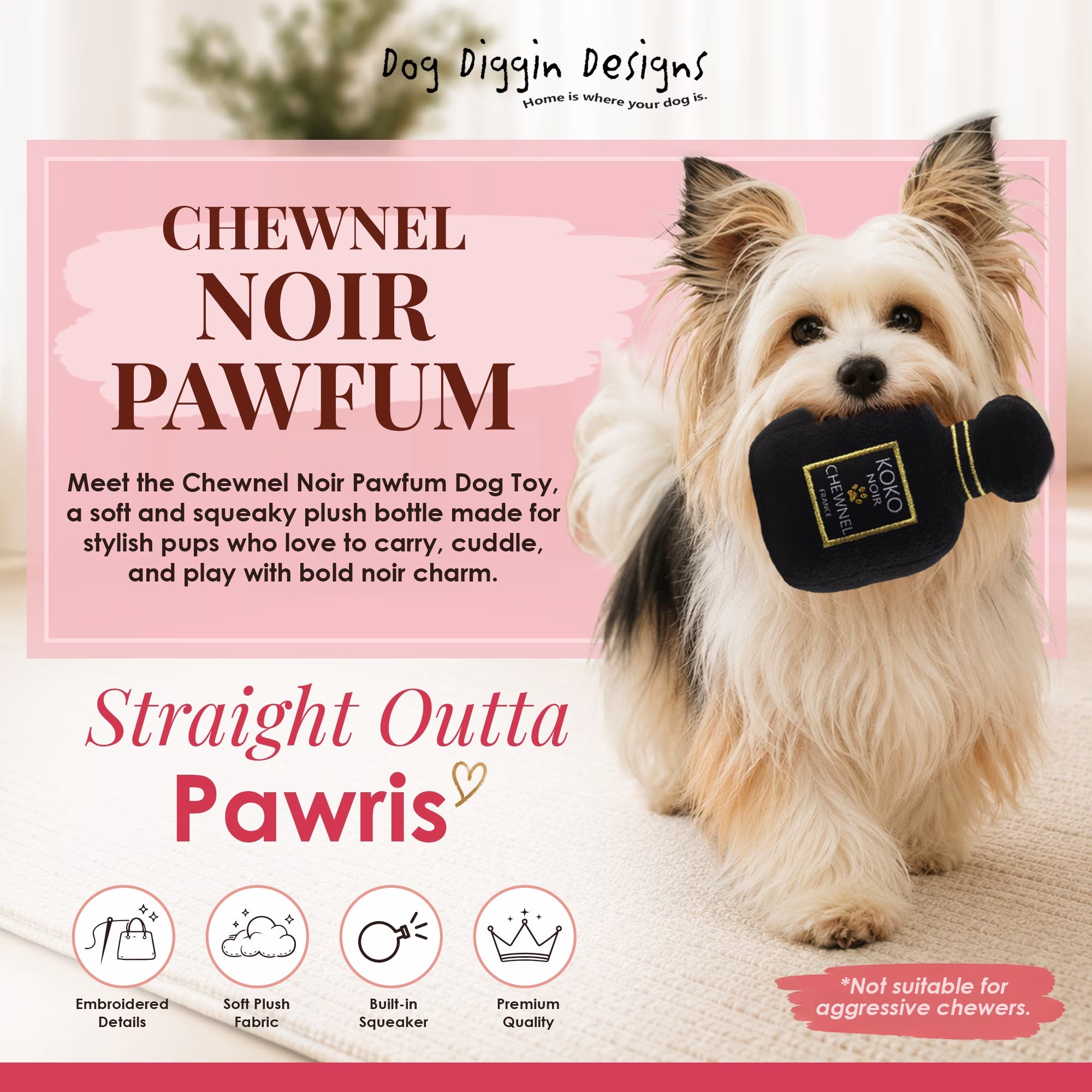 Runway Pup Collection | Unique