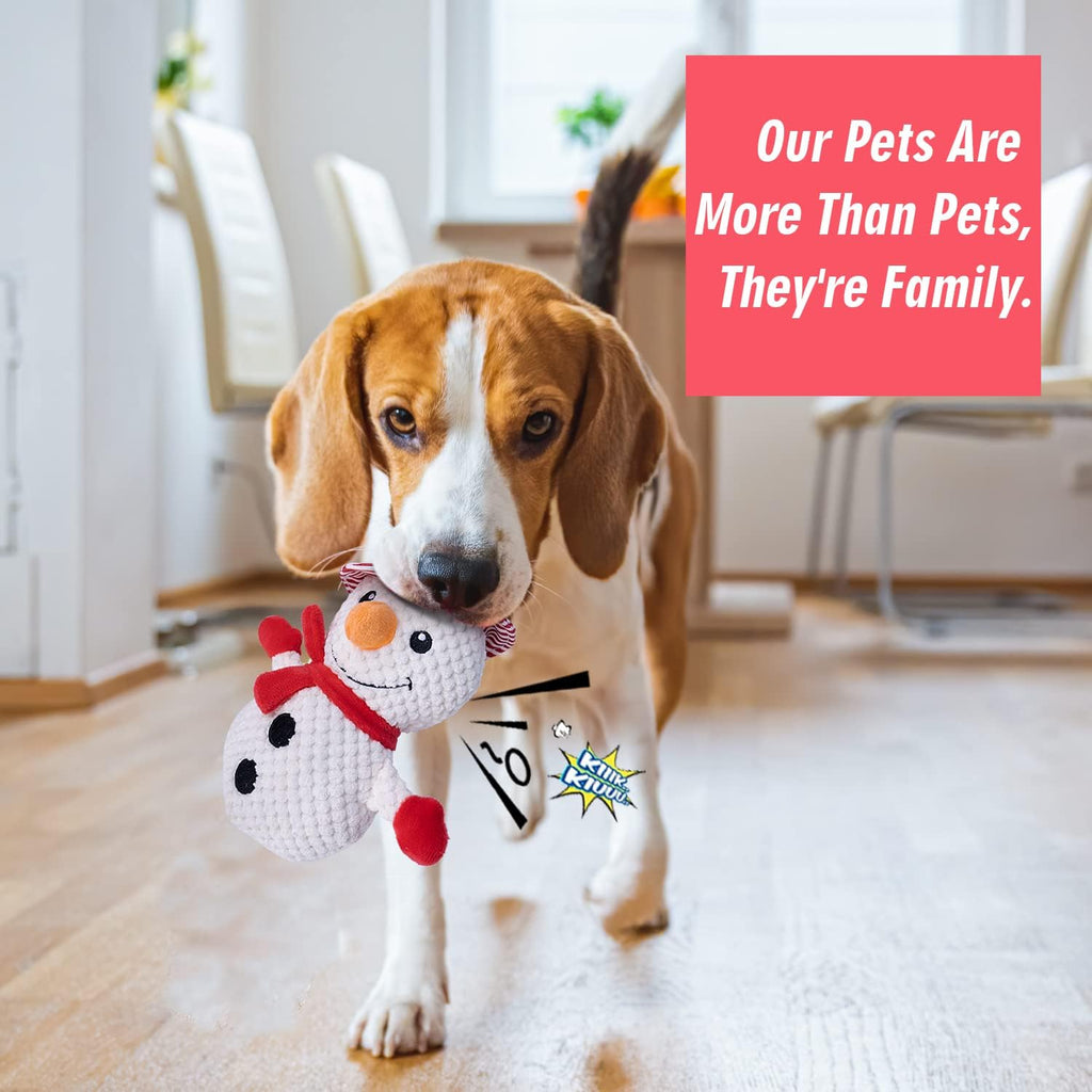 Dog Squeak Toys Stuffed and Plush Chew Toys Interactive Toys for Chewers Plush Dog Toy Small Dogs Dog Toys for Medium Dogs Puppy Toys for Teething Small Dogs Dog Gifts