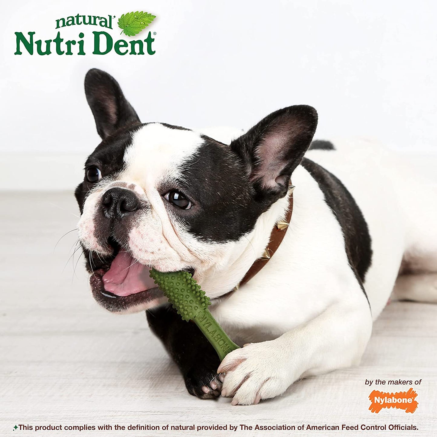 Nutri Dent Dog Dental Treats - Natural Dog Teeth Cleaning & Breath Freshener - Dental Treats for Dogs - Fresh Breath Flavor, Medium (40 Count) | for Medium Dogs 15-30 Lbs, Natural Dog Dental Chews, Helps Clean Teeth & Freshen Breath, Usa-Made, Vet Recomme