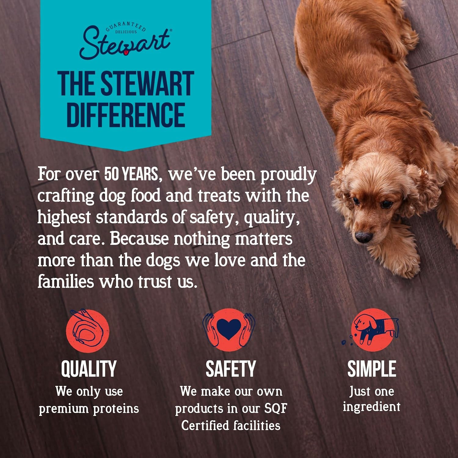 Stewart Freeze Dried Dog Treats, 100% Beef Liver, 14 Oz Tub | Premium Quality Raw Protein, Single Ingredient, High Protein Training Treats & Food Topper, No Refrigeration, Cat Friendly