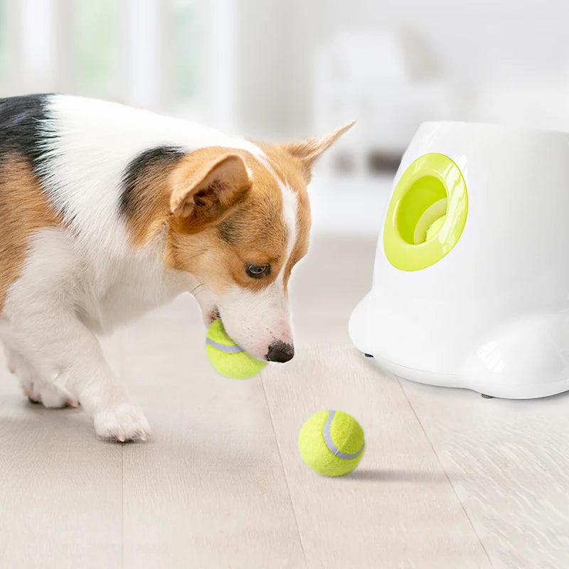 5Cm Dog Pet Tennis Interactive Toy Chew Ball Throwing High Bouncy Ball Kids Ball for Pet Dog Supplies Hot Sale Puppy Accesorios