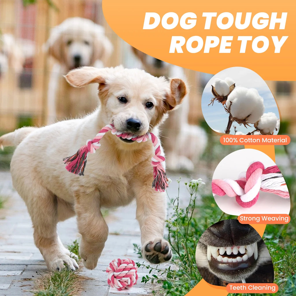 Dog Toys for Small Dogs ,10 Pack Puppy Chew Toys for Teething and Training with Plush Squeaky Toys, Treat Ball and Rope Toys to Keep Them Busy,Pink Pig