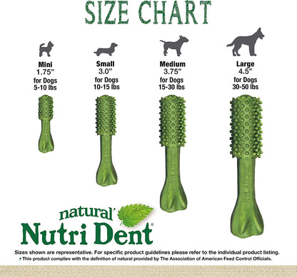 Nutri Dent Dog Dental Treats - Natural Dog Teeth Cleaning & Breath Freshener - Dental Treats for Dogs - Fresh Breath Flavor, Medium (40 Count) | for Medium Dogs 15-30 Lbs, Natural Dog Dental Chews, Helps Clean Teeth & Freshen Breath, Usa-Made, Vet Recomme