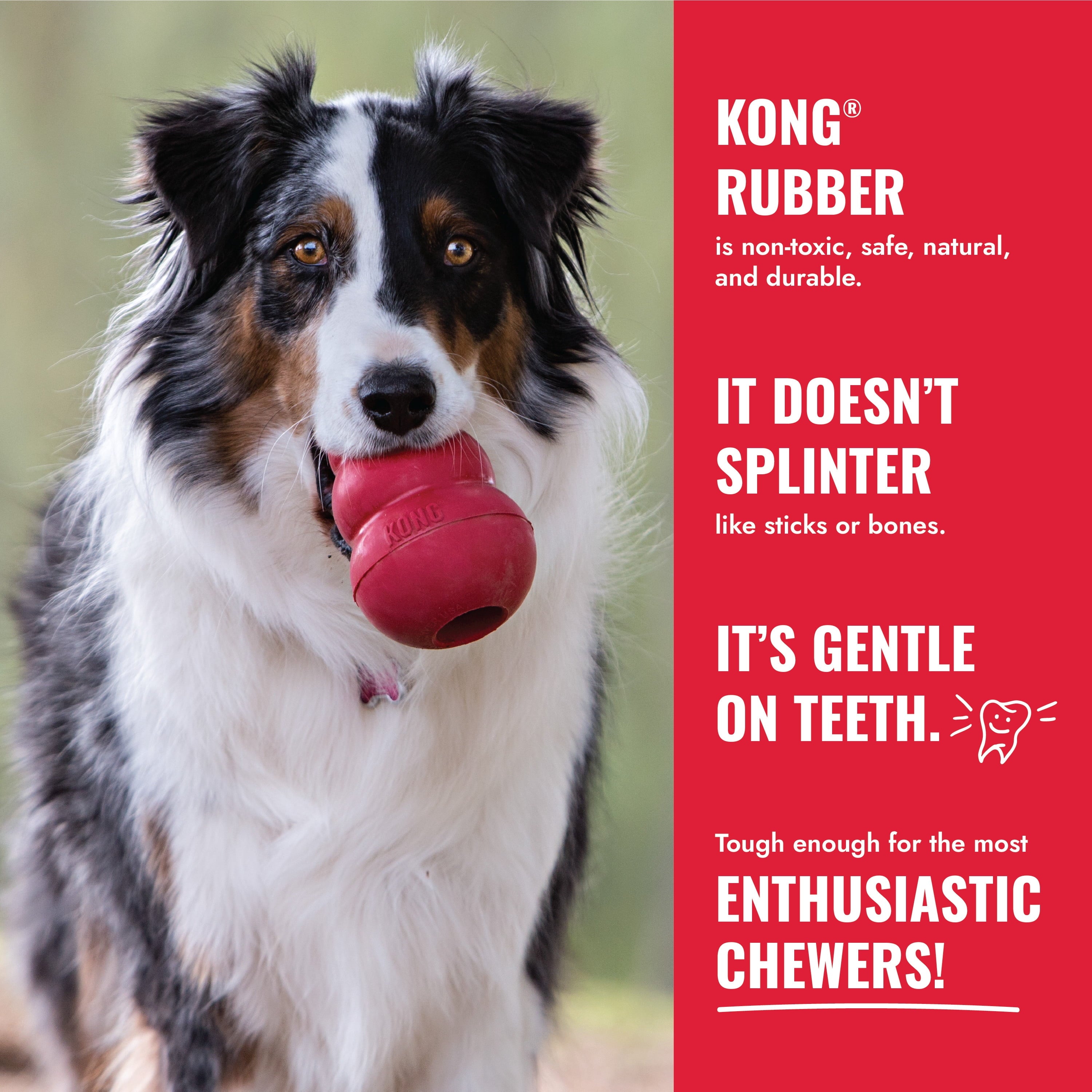 ® Classic Rubber Dog Toy for Average Chewers, Medium, for Dogs between 15-35 Lbs